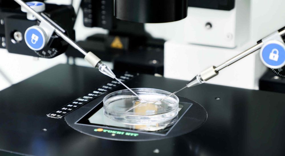  Azoury IVF lebanon Clinic is the best IVF clinic in Lebanon and the MENA region