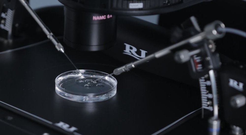 IVF treatment for women over 40 at Azoury IVF Clinic