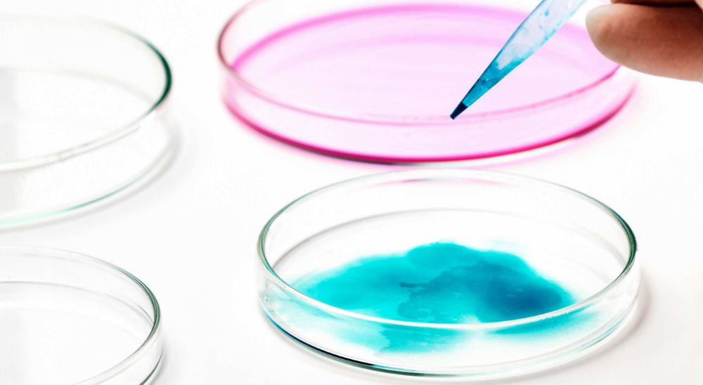 Embryo biopsy for sex selection in lebanon in Azoury IVF lebanon Clinic