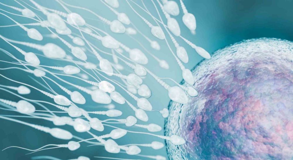 Azoury IVF lebanon Clinic is the leading IVF clinic in Lebanon and the MENA region