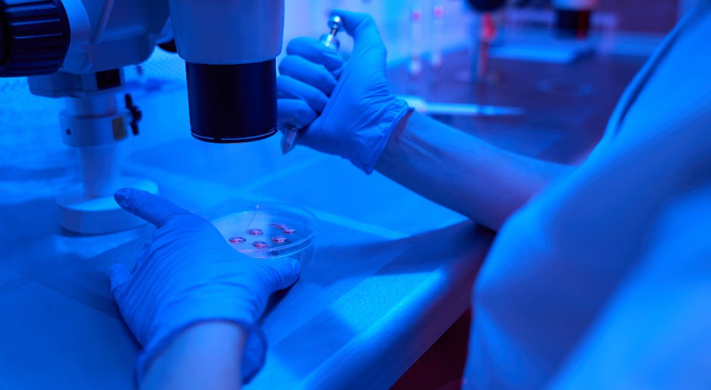 IVF medications and fertility injections used during ovarian stimulation and treatment.