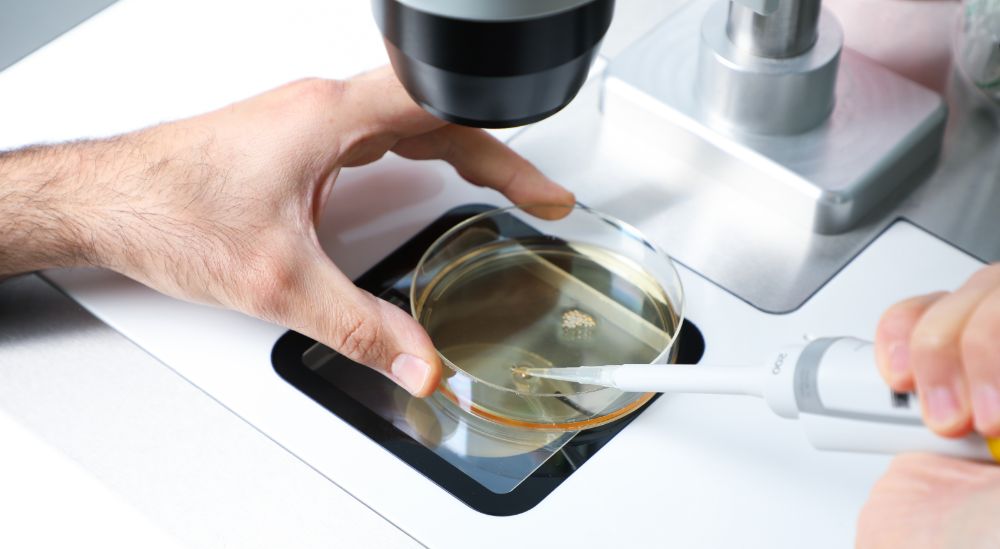 Azoury IVF Lebanon Clinic embryologist performing ICSI