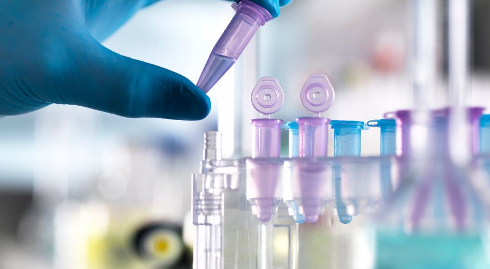 Embryo sex selection in Lebanon is achieved through genetic testing of the embryos before their transfer to the uterus.